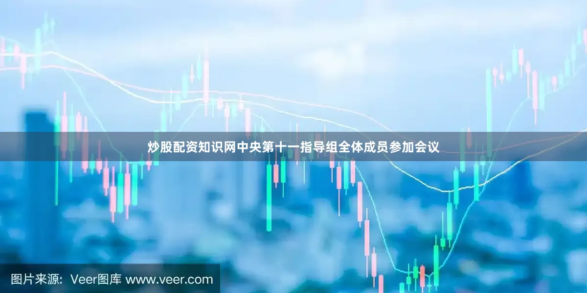 炒股配资知识网中央第十一指导组全体成员参加会议