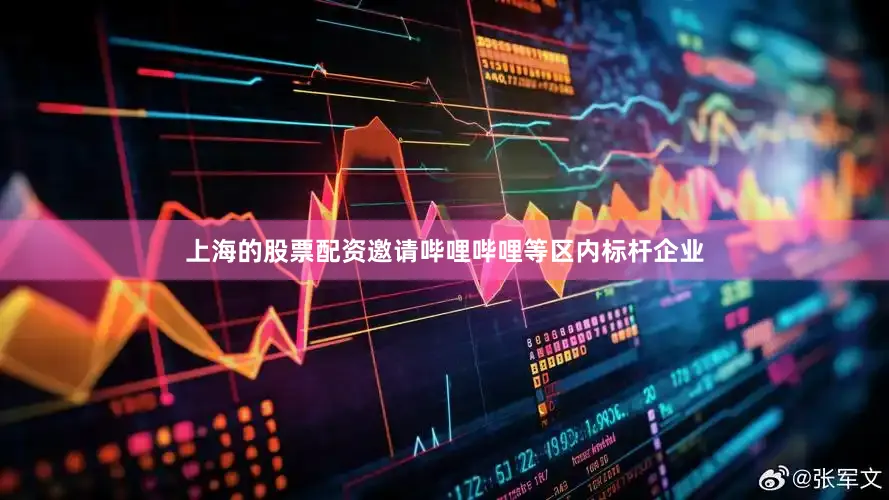 上海的股票配资邀请哔哩哔哩等区内标杆企业