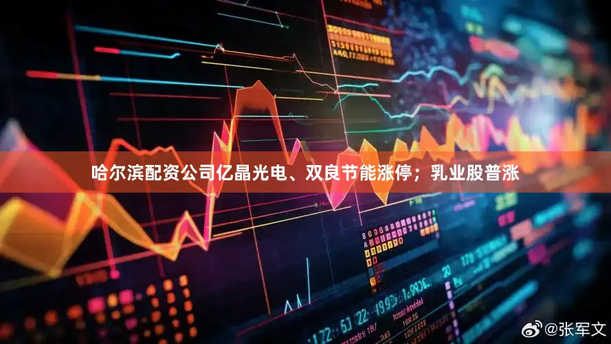 哈尔滨配资公司亿晶光电、双良节能涨停；乳业股普涨