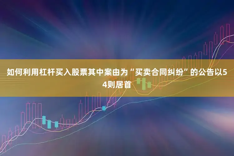 如何利用杠杆买入股票其中案由为“买卖合同纠纷”的公告以54则居首